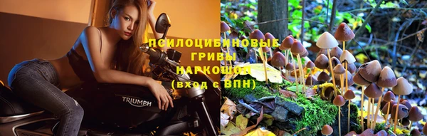 мяу мяу мука Арсеньев